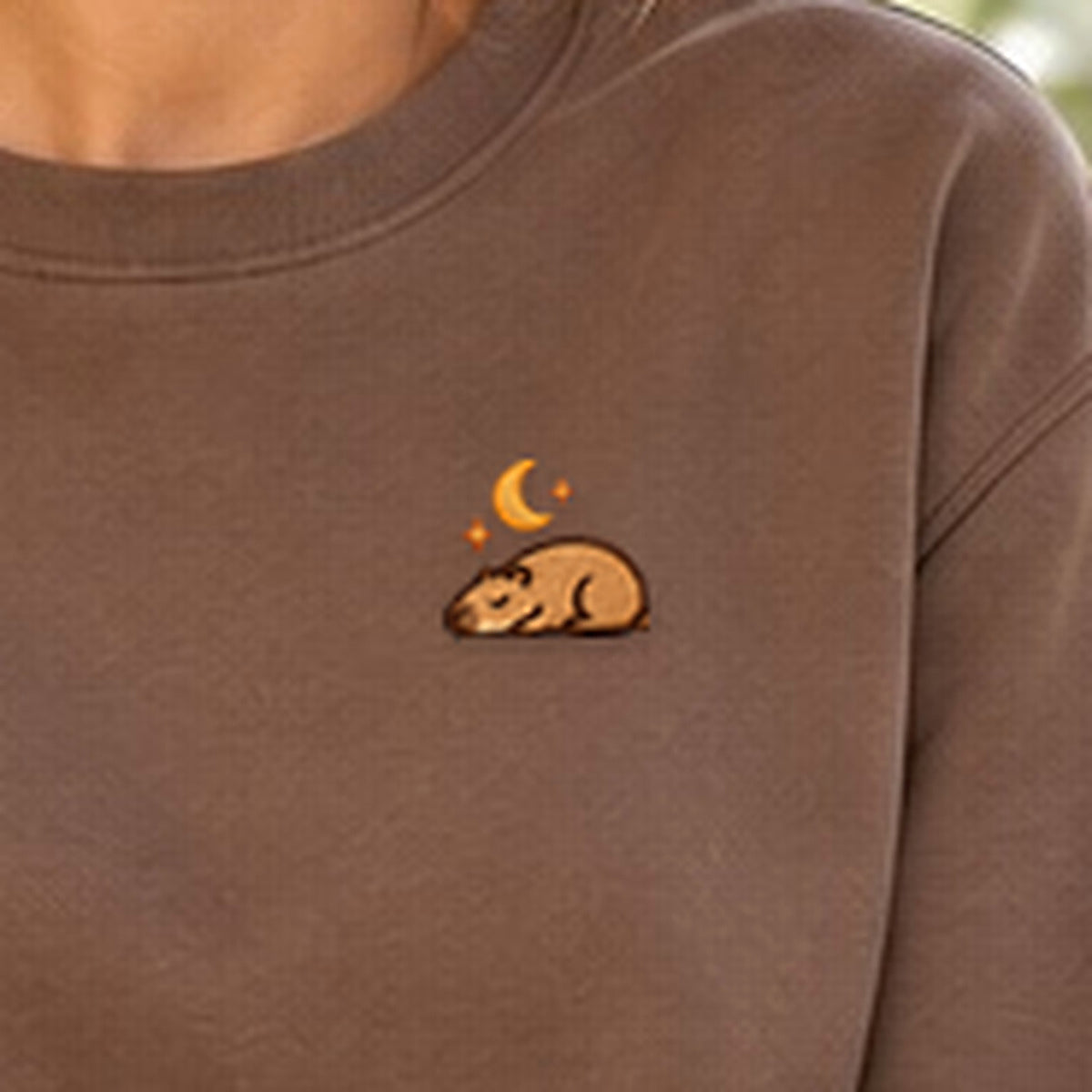 Detailansicht der Stickerei: Astro_Mellowbara – Sweatshirt mit kleiner Stickerei, nachgeschärft